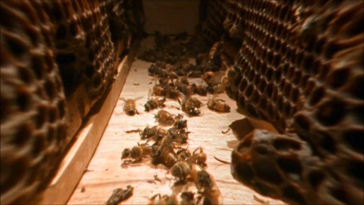 Virgil Enzinger & Submerge - Destroyer Of Worlds (Black Sun Album)