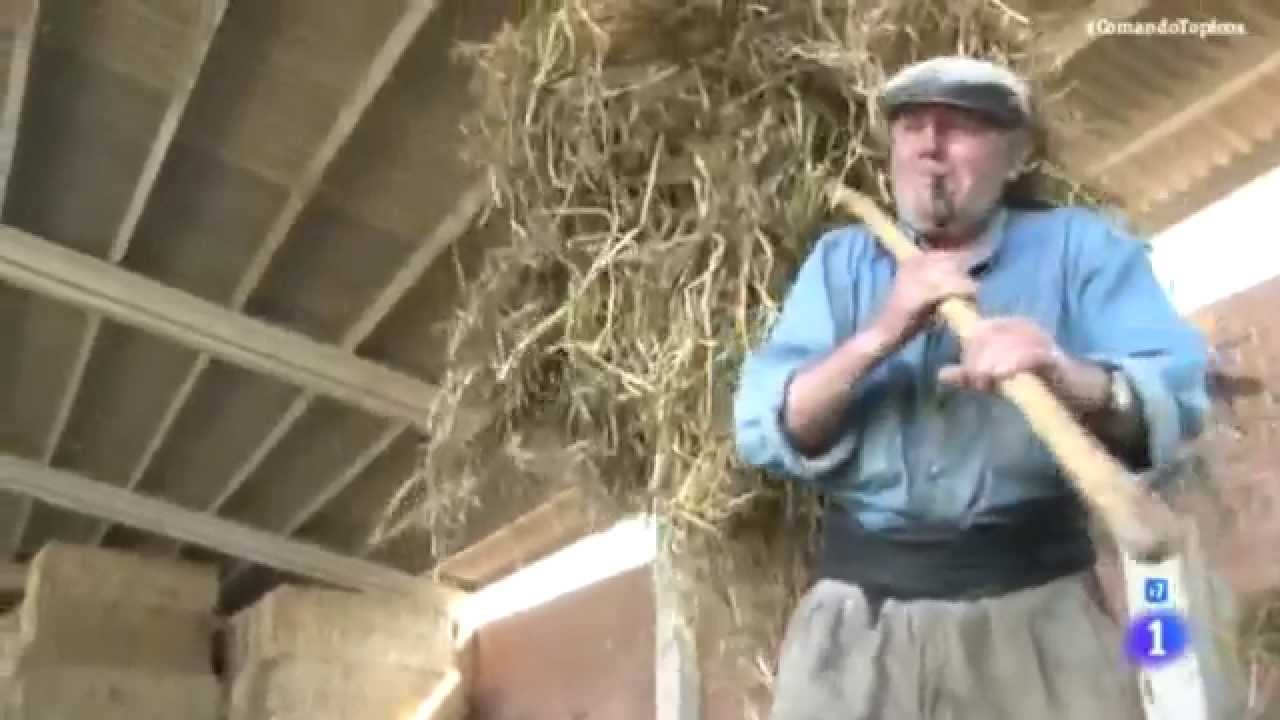 Catalanes, De pura cepa - Comando Actualidad