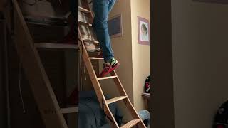 Grandma Teaches Me How to Get Christmas Tree Out of the Attic