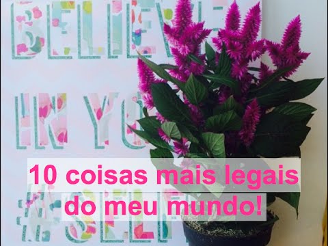 TAG: 10 coisas mais legais do meu mundo!