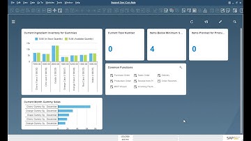SAP Business One Purchasing, Sales, Production, and Payment Workflows