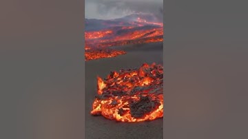 القارى الشيخ غالب جسار / تلاوة خاشعه
