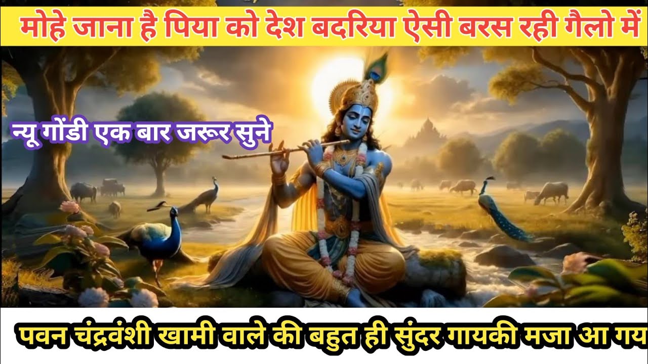 फुल सत्ता गोंडी।।अरे बदरिया ऐसी बरस रही गैलो में पवन चंद्रवंशी खामी वाले पटेल की बहुत ही सुंदर गायकी