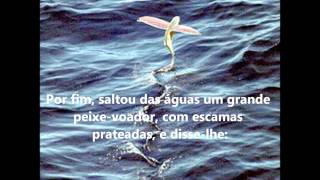 Os três avisos do mar