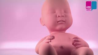 Hoe Ontstaan De Longen