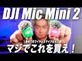 【2026年最新】マジでDJI Mic Mini 2がちょど良くて使いやすい！徹底解説レビュー