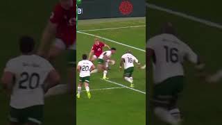 Sacha Feinberg-Mngomezulu MAGIC ✨ | Springboks DOMINATE Wales! 🔥🇿🇦 Ruthless Rugby Highlights