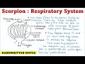 Scorpion | Respiratory System