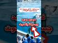 فيديو جديد ل جيسيكا والحوت اوركا #جيسيكا #الحوت #orca #jessica #محمودالعجيل #سوريا #اكسبلور #syria