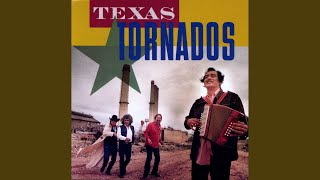 Video thumbnail of "Texas Tornados - Dinero (English Version)"