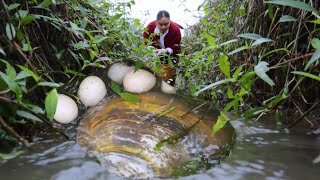 The Girl Opened The Green Giant Clam Shell Full Of Colorful Pearls Which Were Very Bright In Color