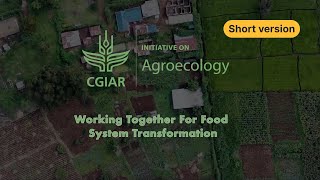 Working together for food system transformation – Kenya’s agroecological living landscapes (short) by CIFOR-ICRAF 125 views 2 months ago 2 minutes, 30 seconds