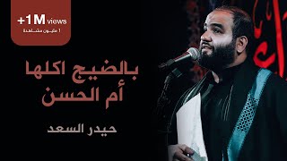 بالضيج اكلها ام الحسن | الرادود حيدر السعد