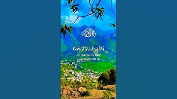 تلاوة خاشعة قرأن كريم بصوت يريح بالك #تلاوة #اكسبلور #aslam #duet #المصحف #trend #قران_كريم #لايك