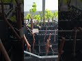 Вегетуючі саджанці винограду вже готові до бронювання. Обирайте якість та перевірений результат😉