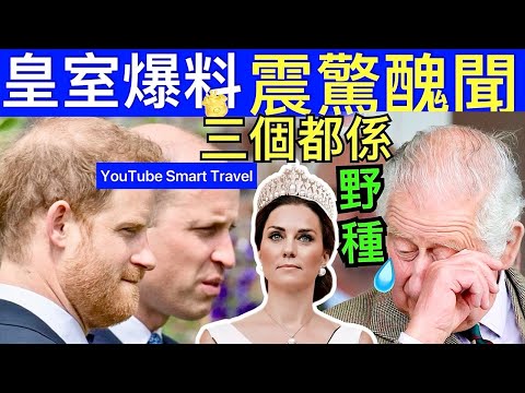 Smart Travel《英國王室秘聞》皇室爆料 三個都是野種?威廉王子 查理斯國王 哈利王子｜王位危機？查爾斯近日表示威廉不適合當國王，哈里能否上位？ #查理斯胰臟癌兩年命 #凱特王妃患癌