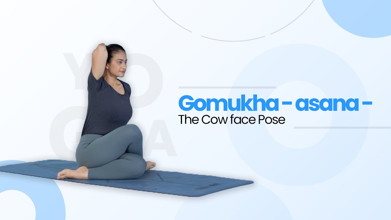 How to do Gomukhasana (Cow's Face pose) ? Benefits of Gomukhasana -  Himalayan Yoga Association (Yoga Ashram)