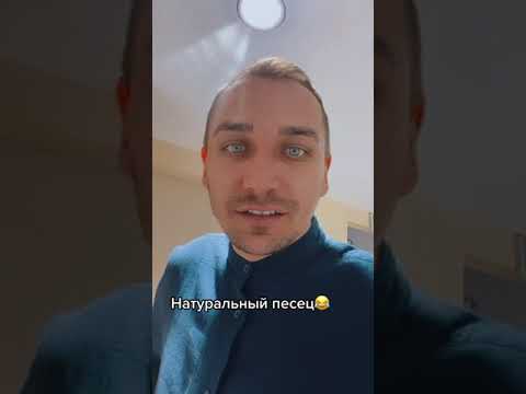 Натуральный песец😂#shorts