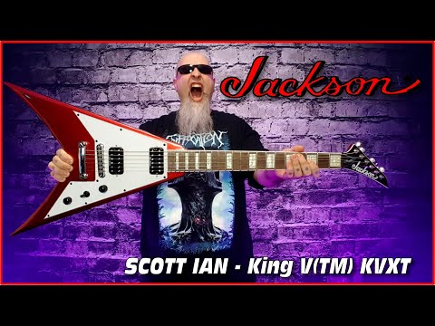 Anthrax scott Ian ギター　ピック Anthrax scott Ian ギターピック