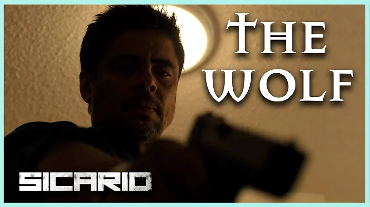 The Wolf of Juarez | Alejandro Character Analysis ...