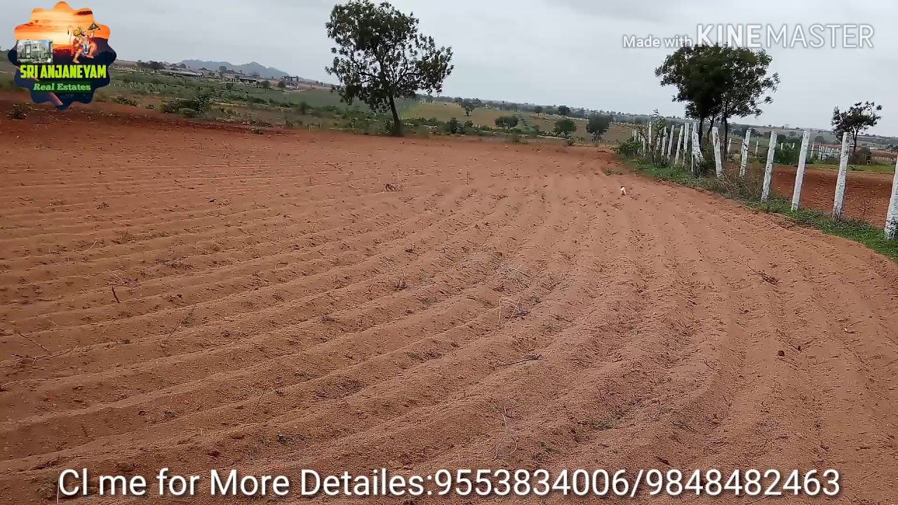 48 Acres Agriculture land for sale