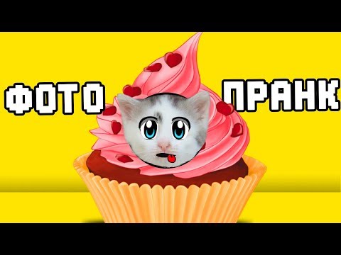 ФОТОКАБИНКА ДЛЯ КОТОВ! КОТ И КОШКА РАЗЫГРАНЫ ! ПРИКОЛЫ С КОТАМИ! НОВЫЙ РОЗЫГРЫШ КОТОВ И ПУПСИ