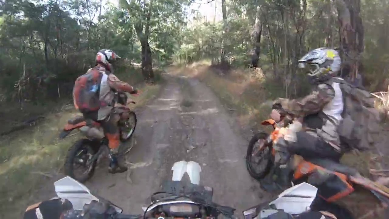 Humffray River and Wombat Range Track