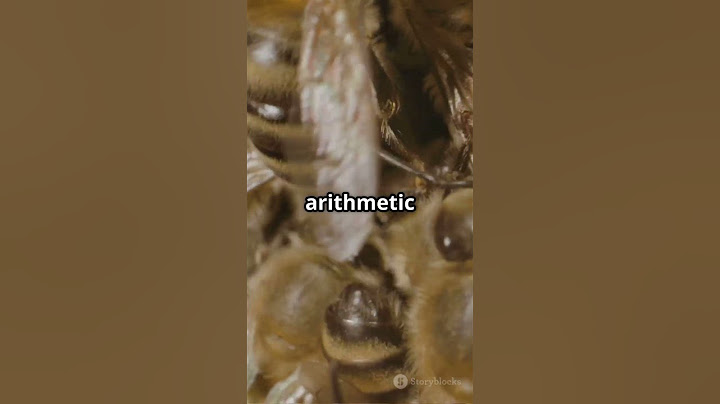 Bees Can Do Math! 🐝➕➖  Mind Blowing Nature Fact #shorts