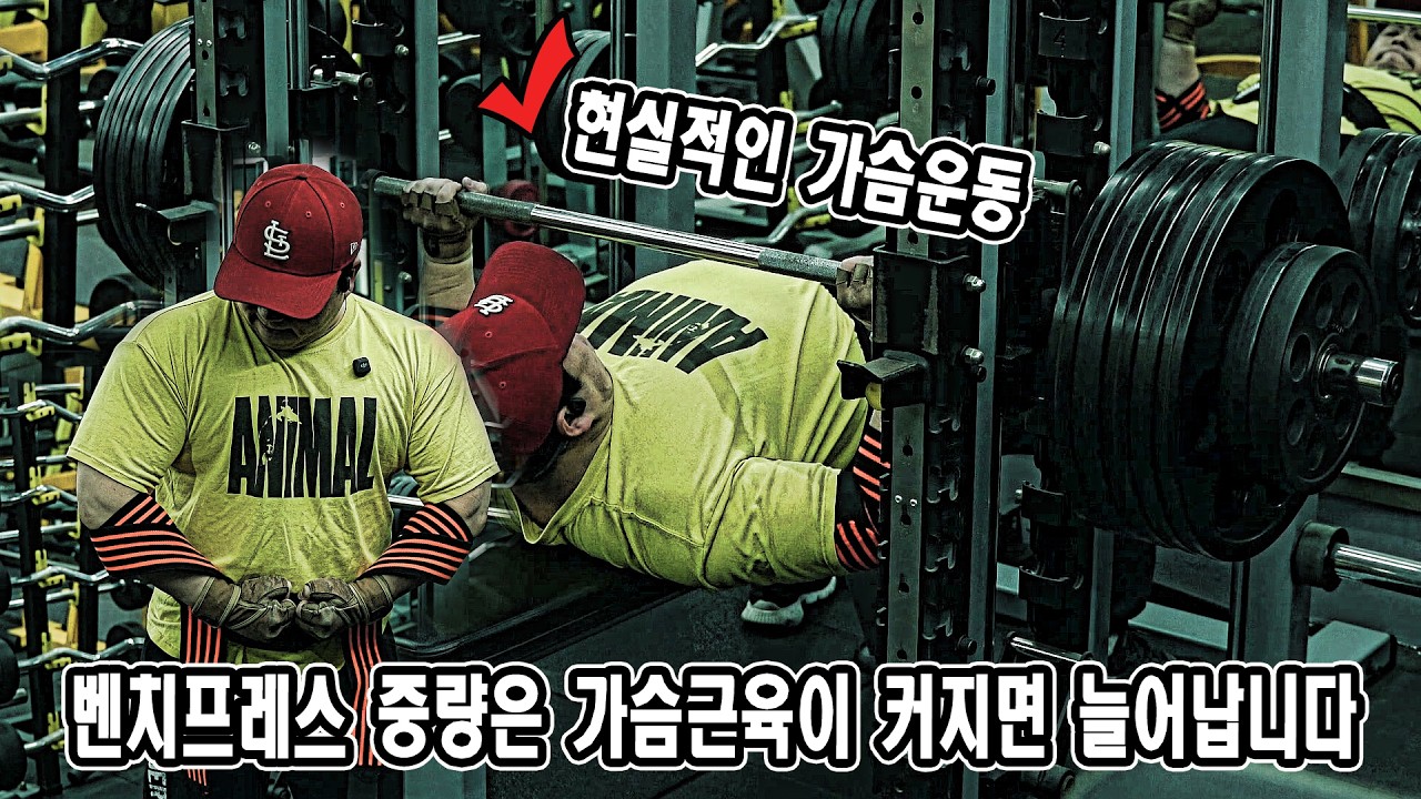 현실적인 가슴운동, 벤치프레스 중량은 가슴근육이 커지면 늘어납니다 | 벤치 프레스 스미스 머신에서 하기