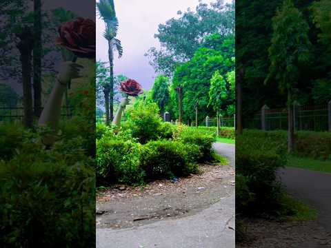 জায়গাটা অনেক সুন্দর। #foryou #shortsfeed #beautifulplace