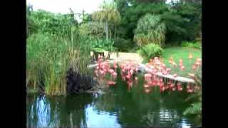 MIAMI CANAL 10 - MIAMI DESTINO TURISTICO