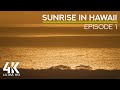 Tropical Birds Chirping &amp; Calming Ocean Sound - Amazing Sunrise at Big Island - Episode 1