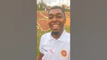 Karafuu Pemba 