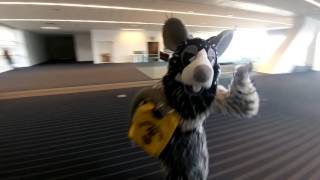 Anthrocon 2016: The People Who Didn't Preregister