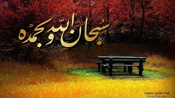 تلاوة رائعة سورة المعارج - الشيخ صالح ال طالب www.qoranet.net