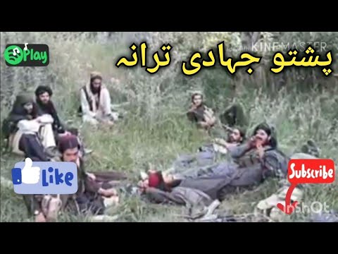 Pashto Nazam Naat Tarana natona jihadi nazmona song sangariyan