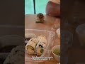 Funny hamster 🐹 #funny#foryou#hamster#viral#fyp