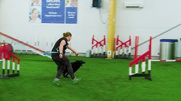 International Agility Training Week - Practicing the Whisky Cross - Part One - preview