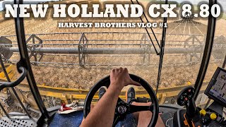 😎 Harvest Brothers TEAM | Žňový vlog #1 | - sklizeň řepky olejné - POV 2x New Holland CX 8.80 💛💙