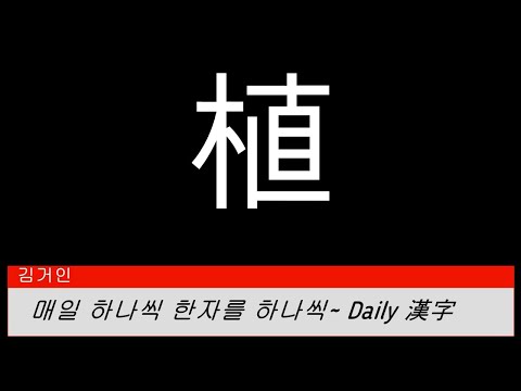 김거인의 매일 하나씩 한자를 한자씩~ 150. 심을 식(植)
