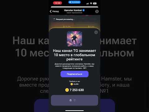 Комбо хомяк 1