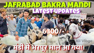 Jafrabad Bakra Mandi 2023 Latest Video | दिल्ली की सबसे सस्ती बकरा मंडी | Bakra Mandi Delhi 2023 