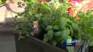Build mom an edible garden