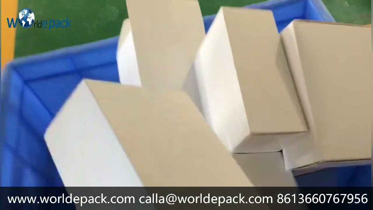 Cartoning  Machine for Protein Powder Stick Bag   WEPACK