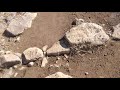 歌「二人の山男」