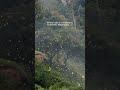# nature