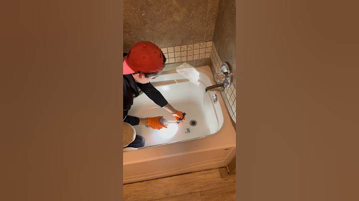 How to Get Rid of Drain Flies #pestcontrol #drainflies