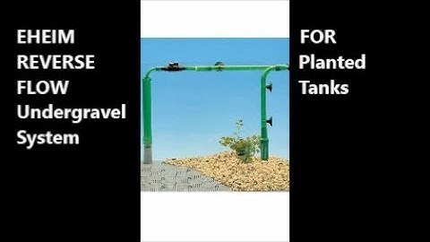 BEST Undergravel Filter | REVERSE FLOW made for PLANTED TANKS