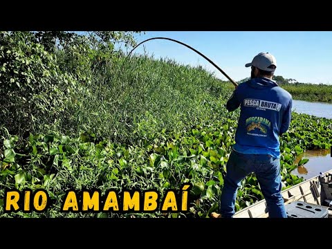 PESCARIA DE TRAÍRA