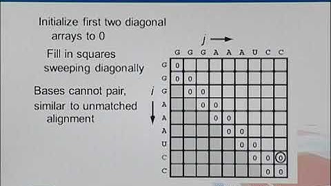 Topic181 NussinovAlgo